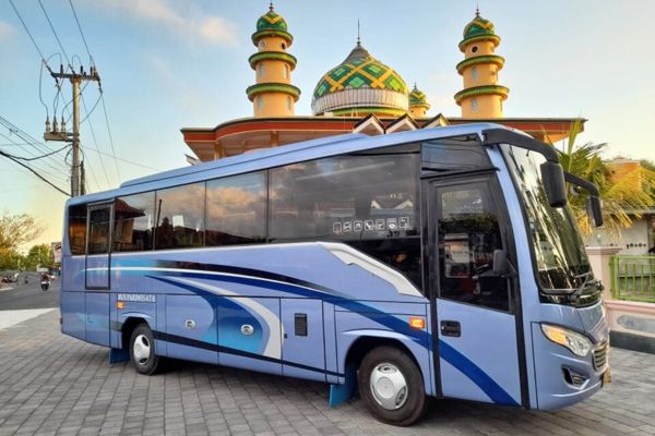 Medium Bus - Wings Holiday